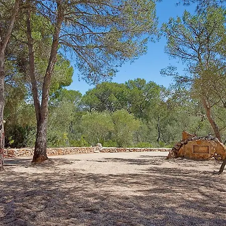 El Bosque Urbanicacion ses palmeres